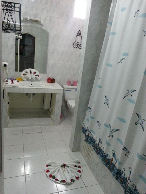 Moroccan House image 44