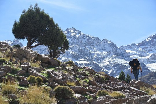 Tour image 2