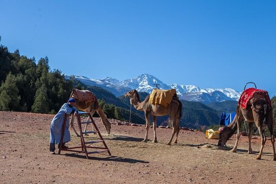 Tour image 13