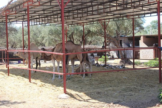 Tour image 6