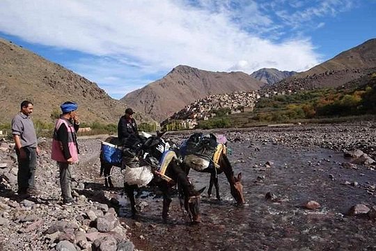 Tour image 2