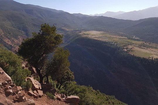 Tour image 9