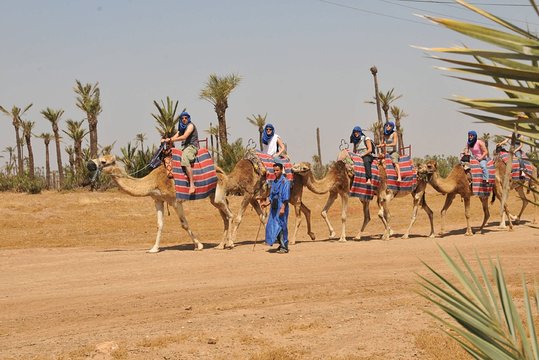 Tour image 7