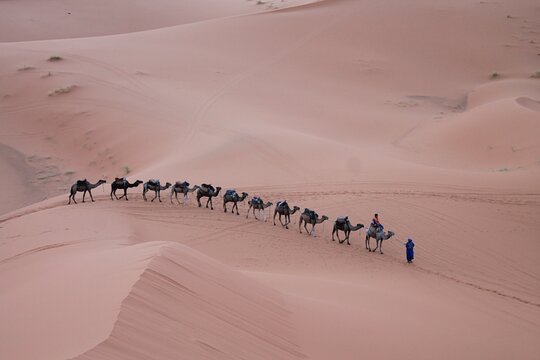 Tour image 11