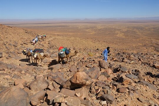 Tour image 6