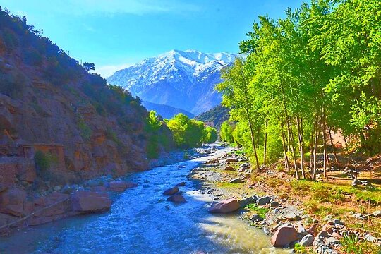 Tour image 6