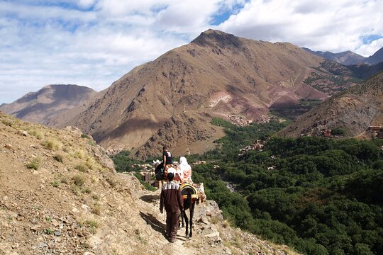 Tour image 6