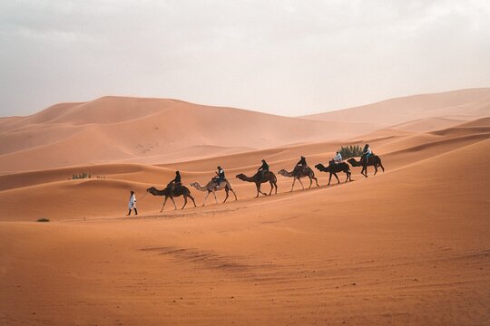 Tour image 12