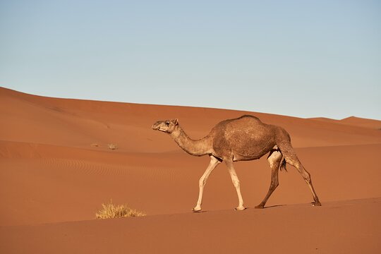 Tour image 5