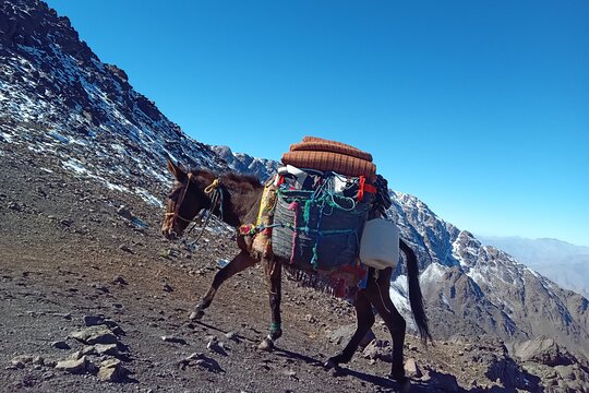 Tour image 5