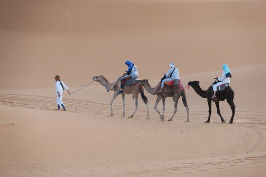 Tour image 14