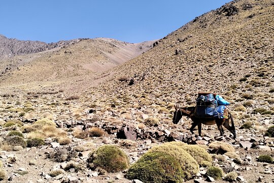 Tour image 14